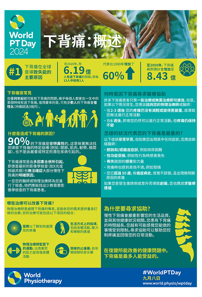 WPTD2024-InfoSheet1-下背痛:概述