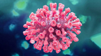 coronavirus