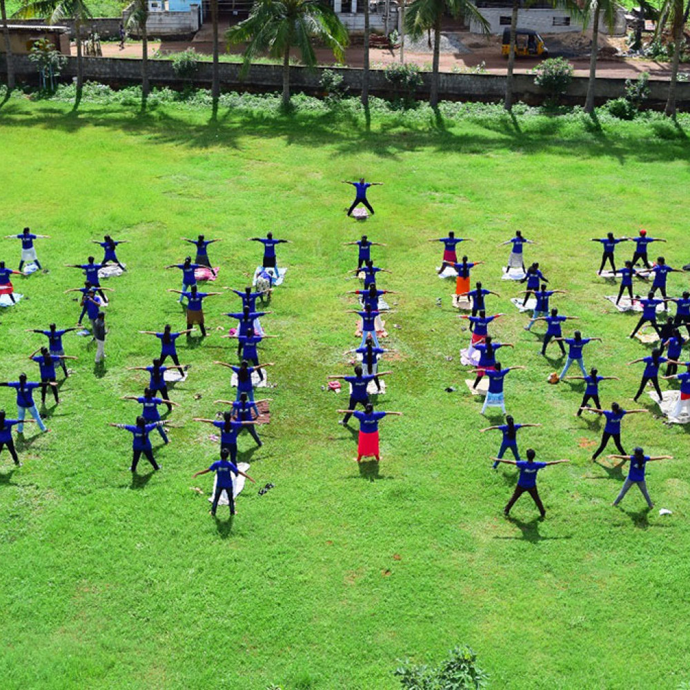 Photograph of World PT Day 2018 celebration in India
