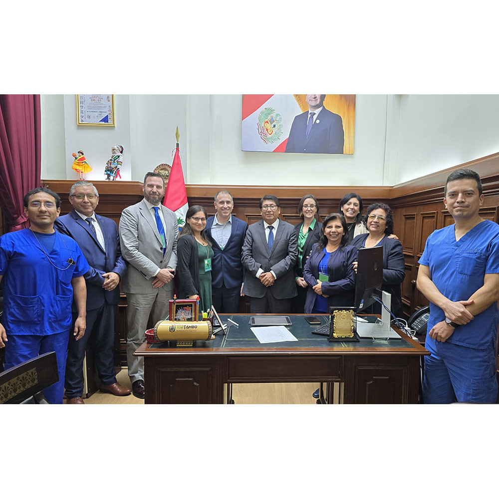 World Physiotherapy representatives with representatives of the Congress of the Republic of Peru