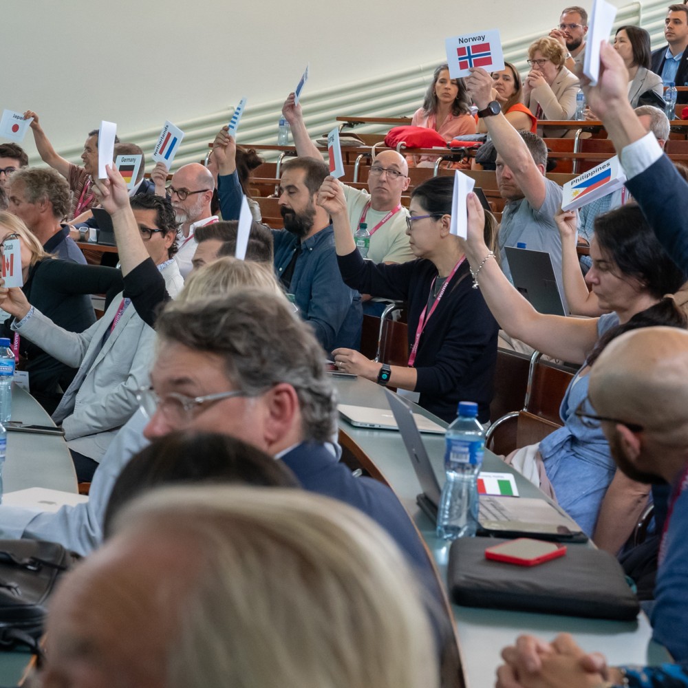 IFOMPT general meeting 3 July 2024
