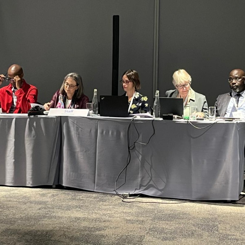 Delegates at World Physiotherapy Africa region general meeting September 2024