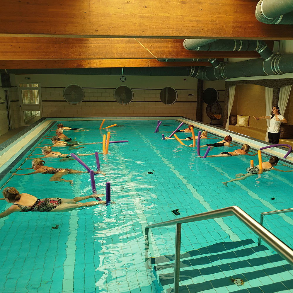Photo showing activities held for World PT Day 2025 in Hungary