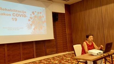 Photograph of the President of the Association of Physiotherapists in Bosnia and Herzegovina giving a presentation for World PT Day 2020