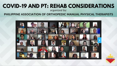 Image of webinar held in the Philippines to mark World PT Day 2021